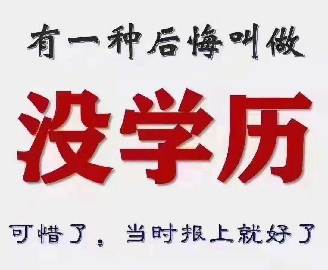 河南成考專升本文憑含金量高嗎？